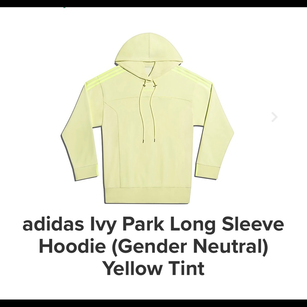 IVY PARK GENDER NEUTRAL HOODIE